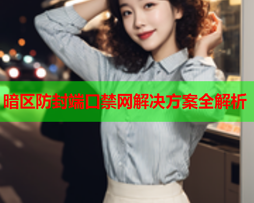 暗区防封端口禁网解决方案全解析