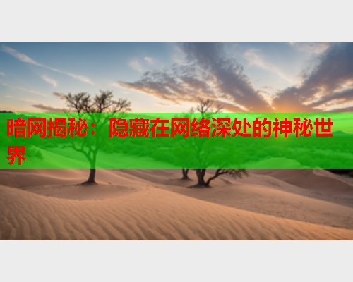 暗网揭秘：隐藏在网络深处的神秘世界