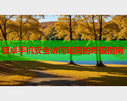 安卓手机安全访问暗网的终极指南