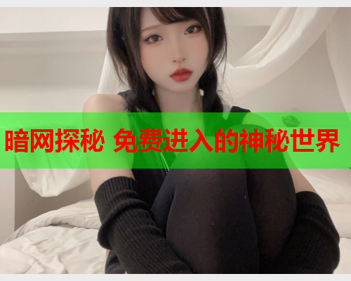 暗网探秘 免费进入的神秘世界
