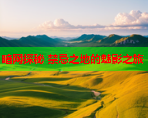 暗网探秘 禁忌之地的魅影之旅