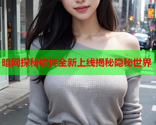暗网探秘软件全新上线揭秘隐秘世界