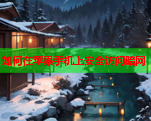 如何在苹果手机上安全访问暗网