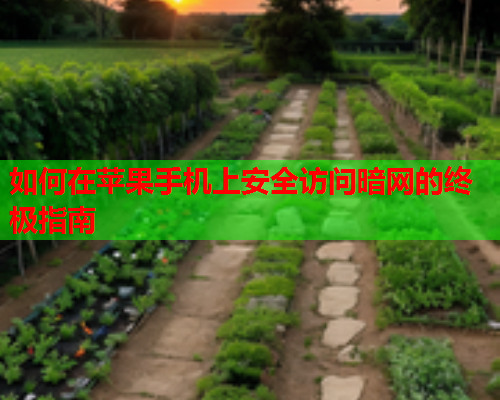 如何在苹果手机上安全访问暗网的终极指南