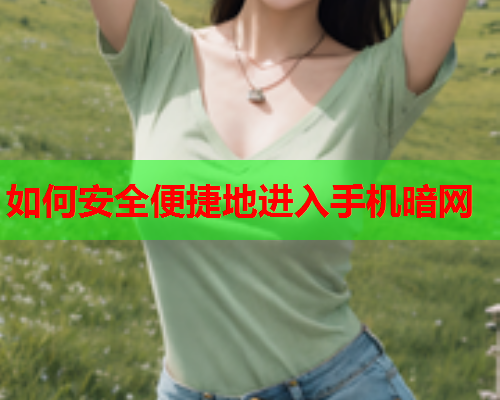 如何安全便捷地进入手机暗网