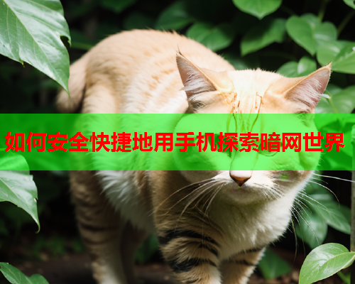 如何安全快捷地用手机探索暗网世界
