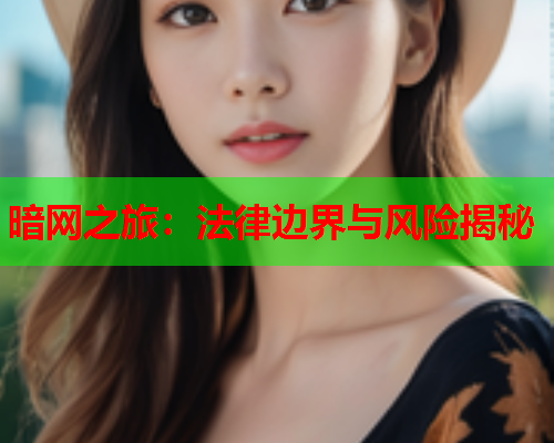 暗网之旅：法律边界与风险揭秘