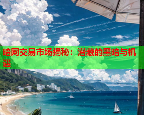 暗网交易市场揭秘：潜藏的黑暗与机遇