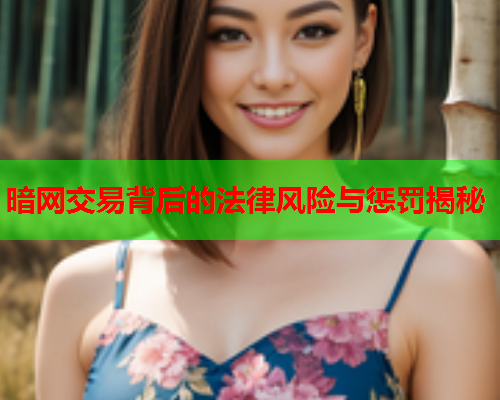 暗网交易背后的法律风险与惩罚揭秘