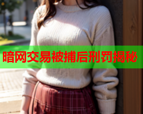 暗网交易被捕后刑罚揭秘