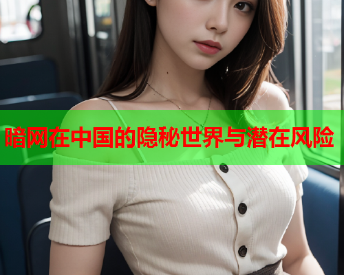 暗网在中国的隐秘世界与潜在风险