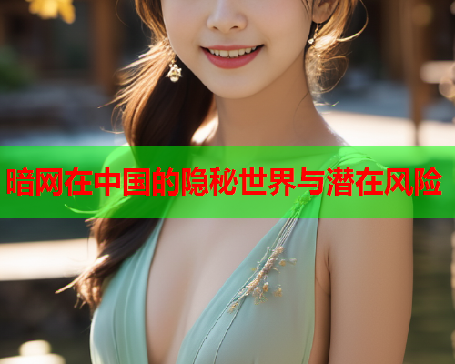 暗网在中国的隐秘世界与潜在风险