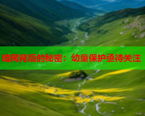 暗网背后的秘密：幼童保护亟待关注