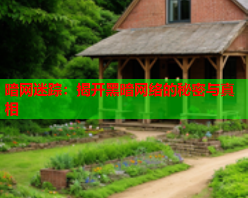 暗网迷踪：揭开黑暗网络的秘密与真相