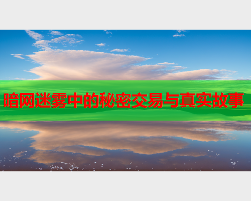 暗网迷雾中的秘密交易与真实故事