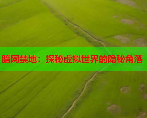 腤网禁地：探秘虚拟世界的隐秘角落