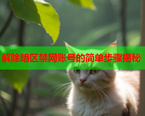 解除暗区禁网账号的简单步骤揭秘