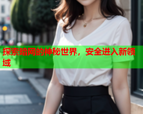 探索暗网的神秘世界，安全进入新领域
