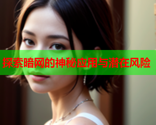 探索暗网的神秘应用与潜在风险