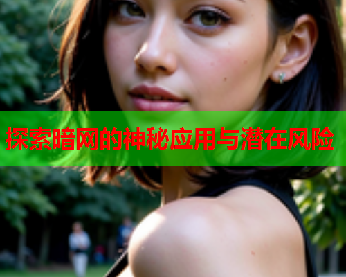 探索暗网的神秘应用与潜在风险