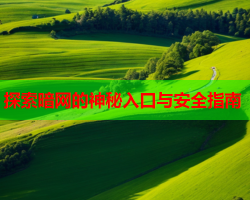 探索暗网的神秘入口与安全指南