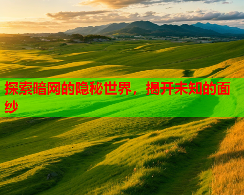 探索暗网的隐秘世界，揭开未知的面纱