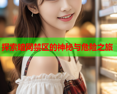 探索暗网禁区的神秘与危险之旅