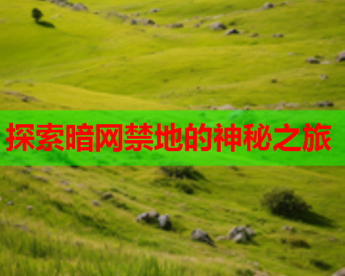 探索暗网禁地的神秘之旅