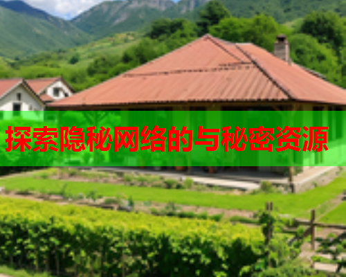 探索隐秘网络的与秘密资源