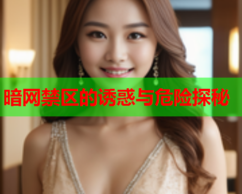 暗网禁区的诱惑与危险探秘