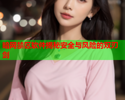 暗网禁区软件揭秘安全与风险的双刃剑