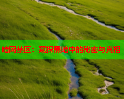 暗网禁区：窥探黑暗中的秘密与真相