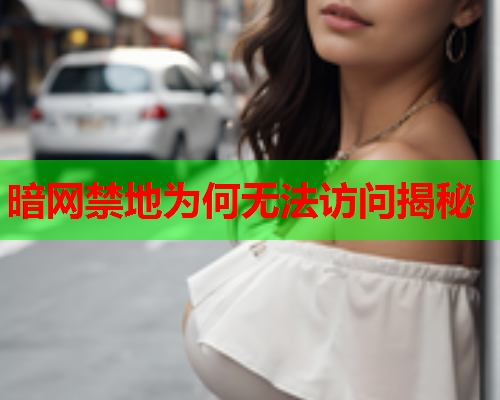 暗网禁地为何无法访问揭秘