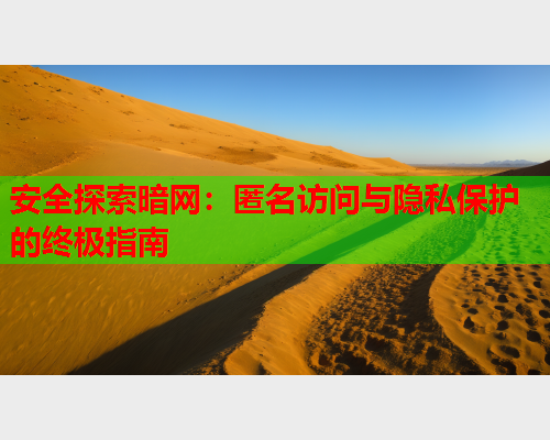 安全探索暗网：匿名访问与隐私保护的终极指南