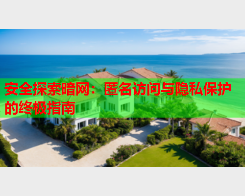 安全探索暗网：匿名访问与隐私保护的终极指南
