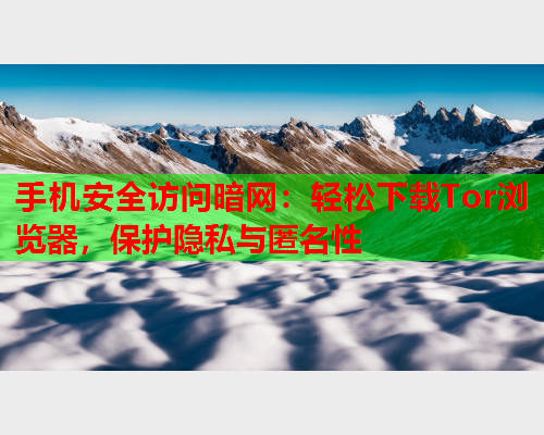 手机安全访问暗网：轻松下载Tor浏览器，保护隐私与匿名性