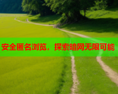 安全匿名浏览，探索暗网无限可能