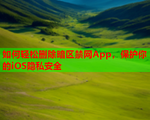如何轻松删除暗区禁网App，保护你的iOS隐私安全