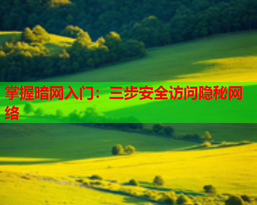 掌握暗网入门：三步安全访问隐秘网络