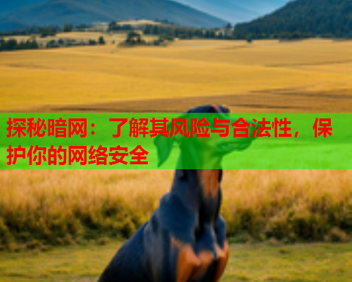 探秘暗网：了解其风险与合法性，保护你的网络安全