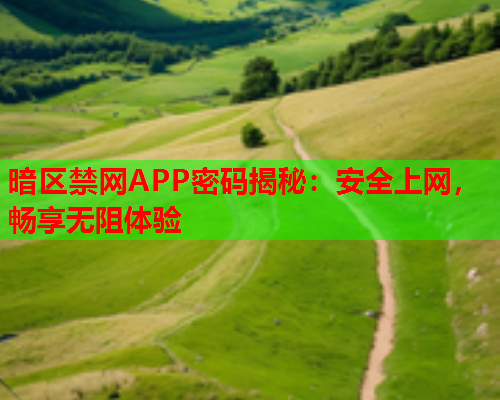 暗区禁网APP密码揭秘：安全上网，畅享无阻体验