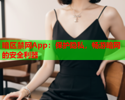 暗区禁网App：保护隐私，畅游暗网的安全利器