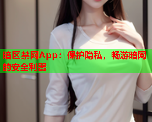 暗区禁网App：保护隐私，畅游暗网的安全利器