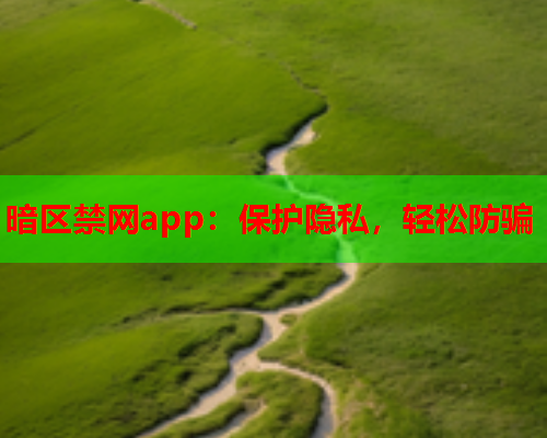 暗区禁网app：保护隐私，轻松防骗