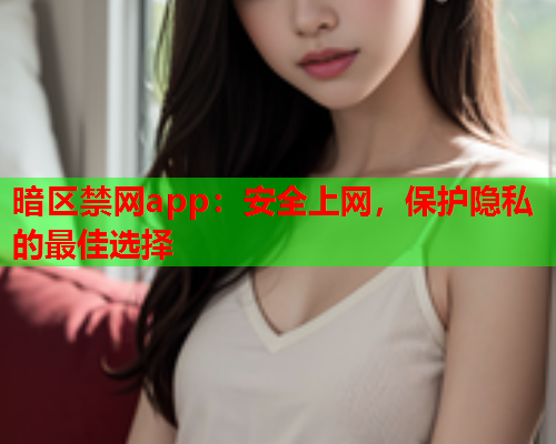 暗区禁网app：安全上网，保护隐私的最佳选择