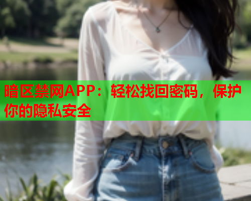 暗区禁网APP：轻松找回密码，保护你的隐私安全