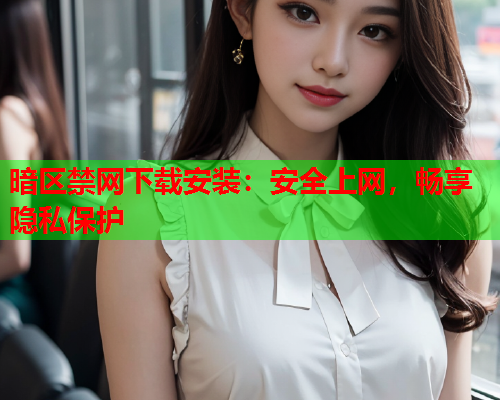 暗区禁网下载安装：安全上网，畅享隐私保护