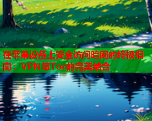 在苹果设备上安全访问暗网的终极指南：VPN与Tor的完美结合