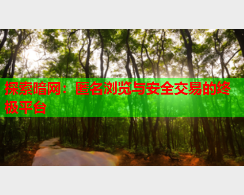 探索暗网：匿名浏览与安全交易的终极平台