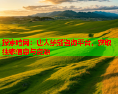 探索暗网：唐人禁播咨询平台，获取独家信息与资源